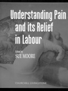 Understanding Pain and Its Relief in Labour - David S. Moore