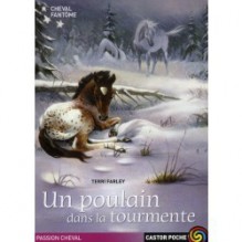 Un poulain dans la tourmente (Cheval fantôme, #5) - Terri Farley, Catherine Guillet