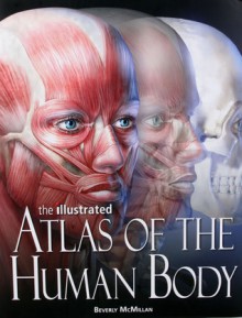 The Illustrated Atlas Of The Human Body - Beverly McMillan