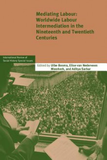 Mediating Labour: Worldwide Labour Intermediation in the Nineteenth and Twentieth Centuries - Ulbe Bosma, Elise van Nederveen Meerkerk, Aditya Sarkar