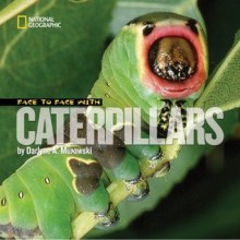 Face to Face with Caterpillars - Darlyne Murawski