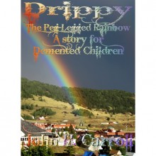 Drippy the Peg-Legged Rainbow (A Story for Demented Children #3) - John H. Carroll