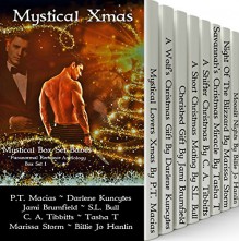 Mystical Xmas: Paranormal Romance Anthology Box Set 1 (Mystical Box Set Babes) - P.T. Macias, Darlene Kuncytes, Jami Brumfield, S. L. Bull, C. A. Tibbitts, Tasha T., Marissa Storm, Billie Jo Hanlin