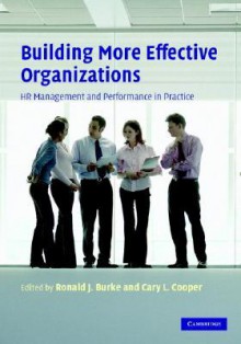 Building More Effective Organizations: HR Management and Performance in Practice - Ronald J. Burke