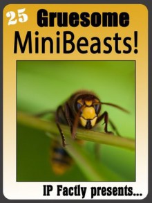 25 Gruesome MiniBeasts! Amazing facts, photos and video links to some of the most grisly creatures on the planet! (25 Amazing Animals Series) - IP Factly, IC Wildlife