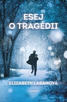 Esej o tragédii - Elizabeth LaBan, Štěpán Hnyk