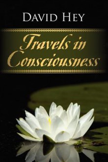 Travels in Consciousness - David Hey