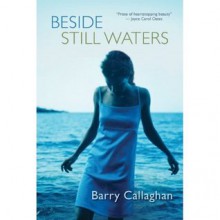 Beside Still Waters - Barry Callaghan