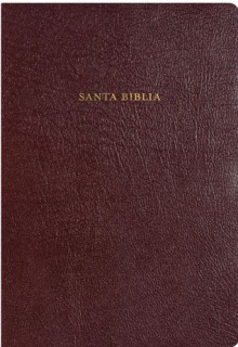 Biblia de Estudio Arco Iris - Broadman and Holman Espanol Editorial Staff, Broadman and Holman Espanol Editorial Staff