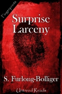 Surprise Larceny - Susan Furlong-Bolliger