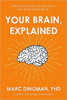 Your Brain, Explained: What Neuroscience Reveals about Your Brain and its Quirks - Marc Dingman