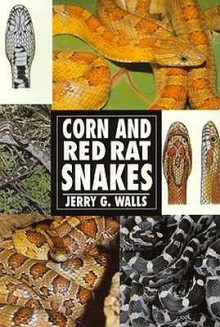 The Guide to Owning a Corn Snake (Guide to Owning A...) - Jerry G. Walls, Jerry G. Wakls