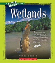 Wetlands - Peter Benoit