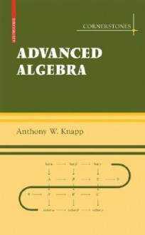 Basic Algebra/Advanced Algebra 2-Volume Set - Anthony W. Knapp