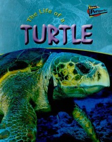 The Life of a Turtle - Clare Hibbert