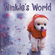 Winkle's World - Lara Jo Regan