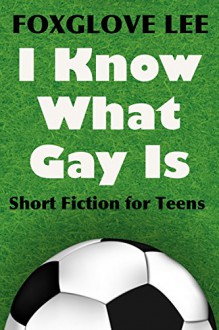 I Know What Gay Is: Short Fiction for Teens - Foxglove Lee