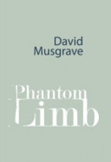 Phantom Limb - David Musgrave