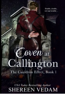 Coven at Callington (The Cauldron Effect #1) - Shereen Vedam