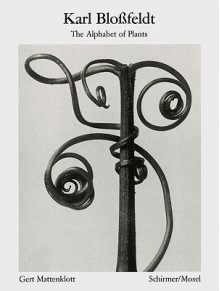 Karl Blossfeldt: The Alphabet of Plants - Karl Blossfeldt, Gert Mattenklott