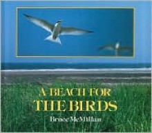 A Beach for the Birds - Bruce McMillan