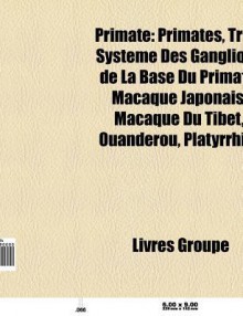 Primate: Primates, Taxinomie Des L Muriformes, Syst Me Des Ganglions de La Base Du Primate, Histoire Volutive Des L Muriformes, - Source Wikipedia