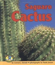 Saguaro Cactus - Conrad J. Storad