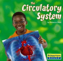 The Circulatory System - Rebecca Olien