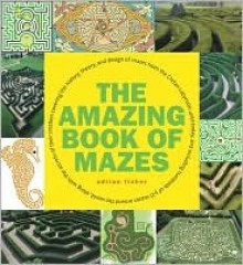 Amazing Book of Mazes - Adrian Fisher