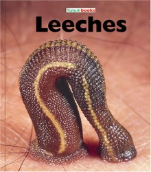 Leeches - Patrick Merrick