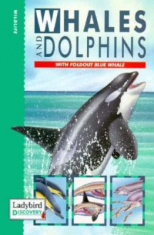 Whales & Dolphins (Discovery) - Mark Oakley