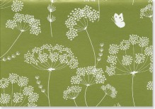 Queen Anne's Lace Note Cards (Stationery) (Note Card Series) - Peter Pauper Press