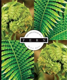 The Life Cycle of a Fern - L.L. Owens