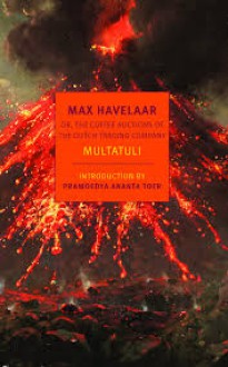 Max Havelaar - Multatuli, David McKay, Ina Rilke (Translator)