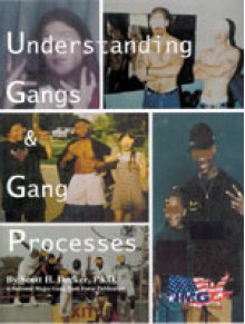 Understanding Gangs and Gang Processes - Scott H. Decker