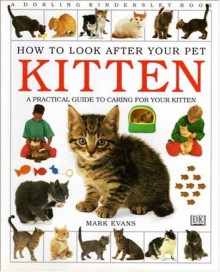 Kitten (How to Look After Your Pet) - Mark Evans