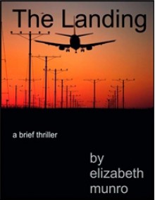 The Landing - Elizabeth Munro