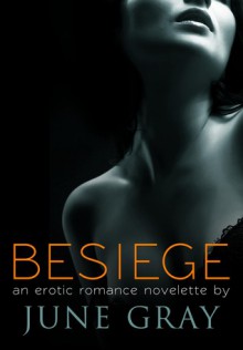 Besiege (DISARM, #2) - June Gray