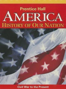 America: History of Our Nation: Civil War to the Present - James West Davidson, Michael B Stoff