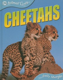 Cheetahs - Sally Morgan