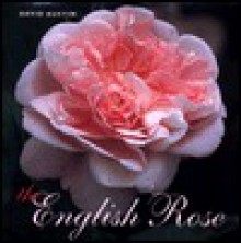 The English Rose - David Austin