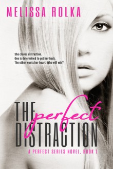 The Perfect Distraction - Melissa Rolka