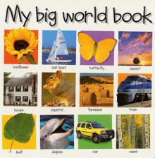 My Big World Book - Roger Priddy