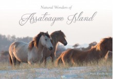 Natural Wonders of Assateague Island - Mark Hendricks