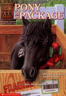 Pony in a Package - Ben M. Baglio