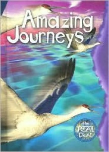 Amazing Journeys - John Porell