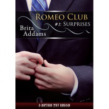 Surprises - Brita Addams