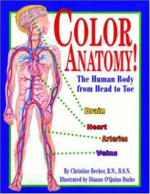 Color Anatomy! - Christine Becker