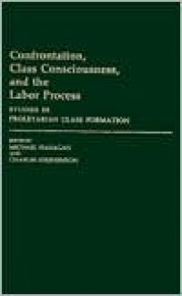 Confrontation, Class Consciousness, and the Labor Process: Studies in Proletarian Class Formation - Michael Hanagan