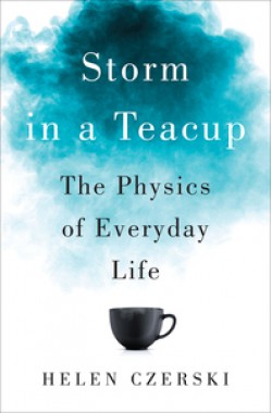 Storm in a Teacup: The Physics of Everyday Life - Helen Czerski